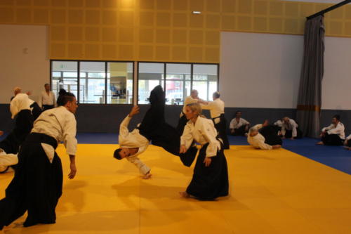 49 RANDORI